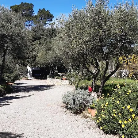Villa La Souleiado Lorgues Exterior foto