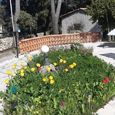 Villa La Souleiado Lorgues Exterior foto